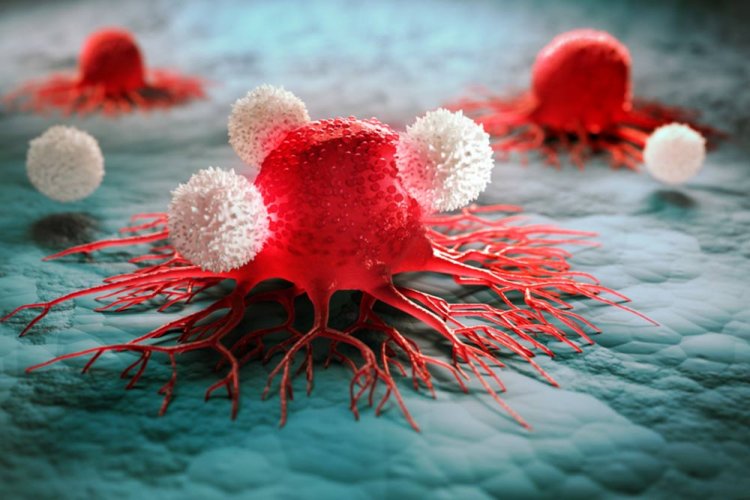 What you should know about blood cell disorders?