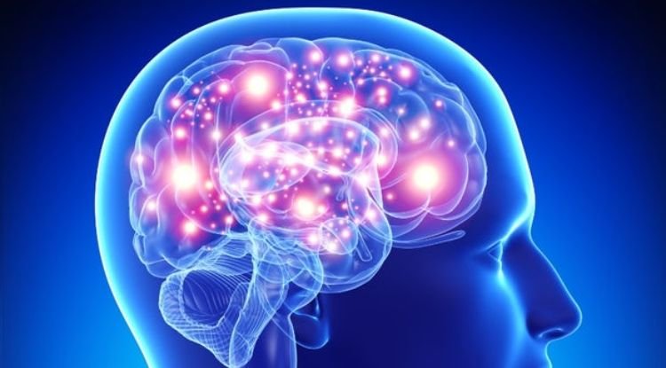 Alzheimer's Disease Symptoms