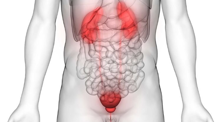 Bladder Cancer Symptoms
