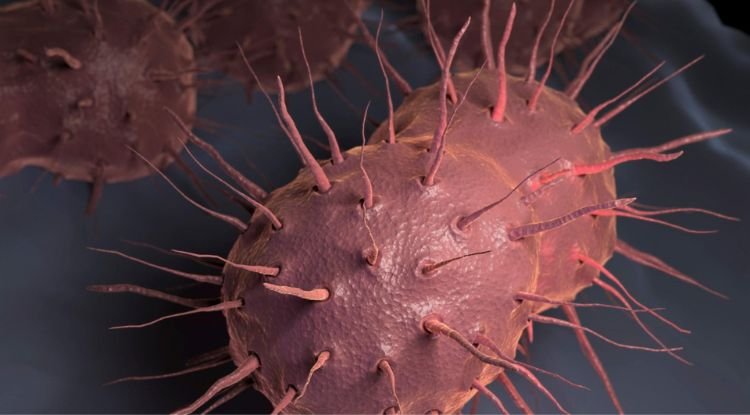 Gonorrhea Symptoms