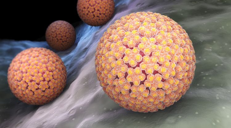 Human Papilloma Virus Symptoms