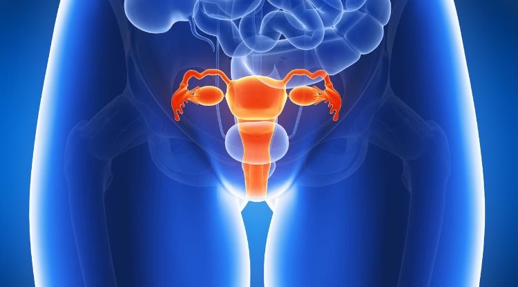 Uterine Cancer Symptoms